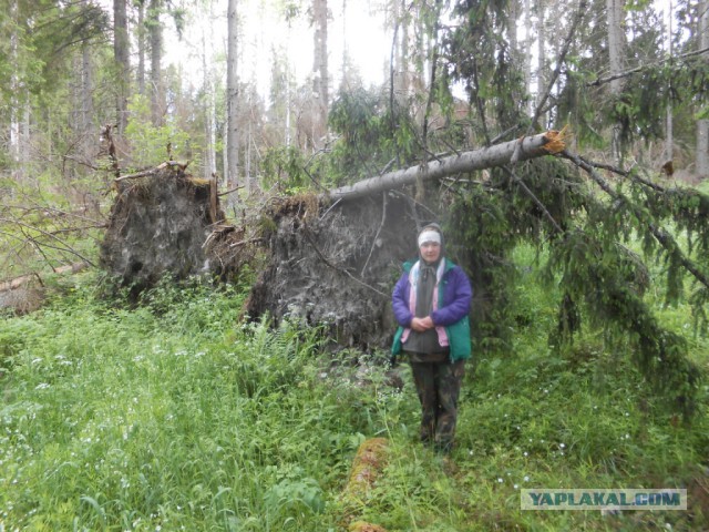 Вуокса 2015