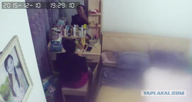 За что я люблю китайцев