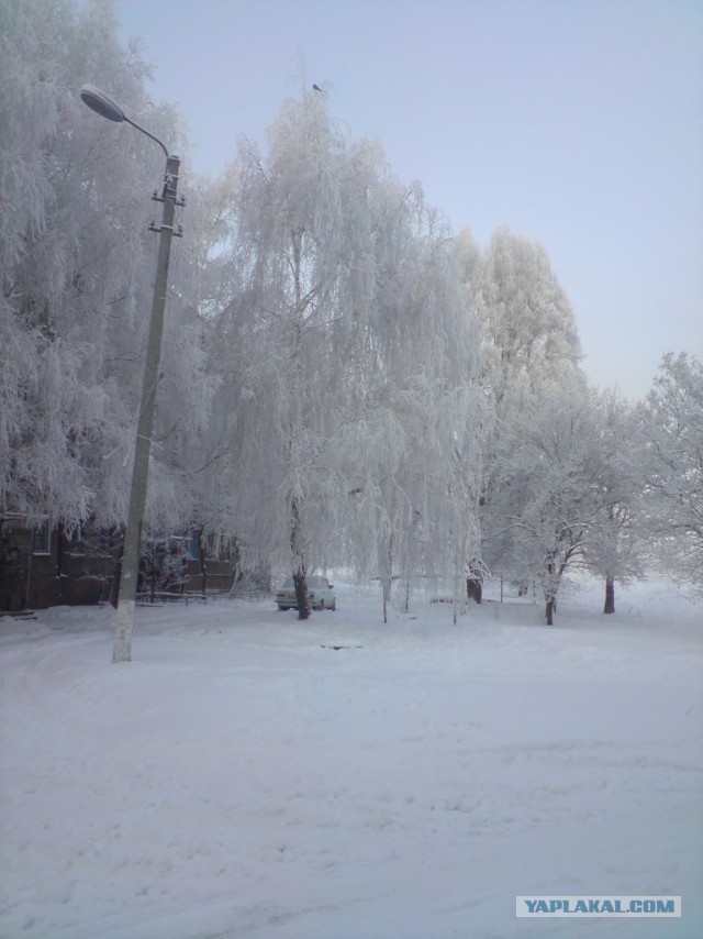 Зимушка-Зима
