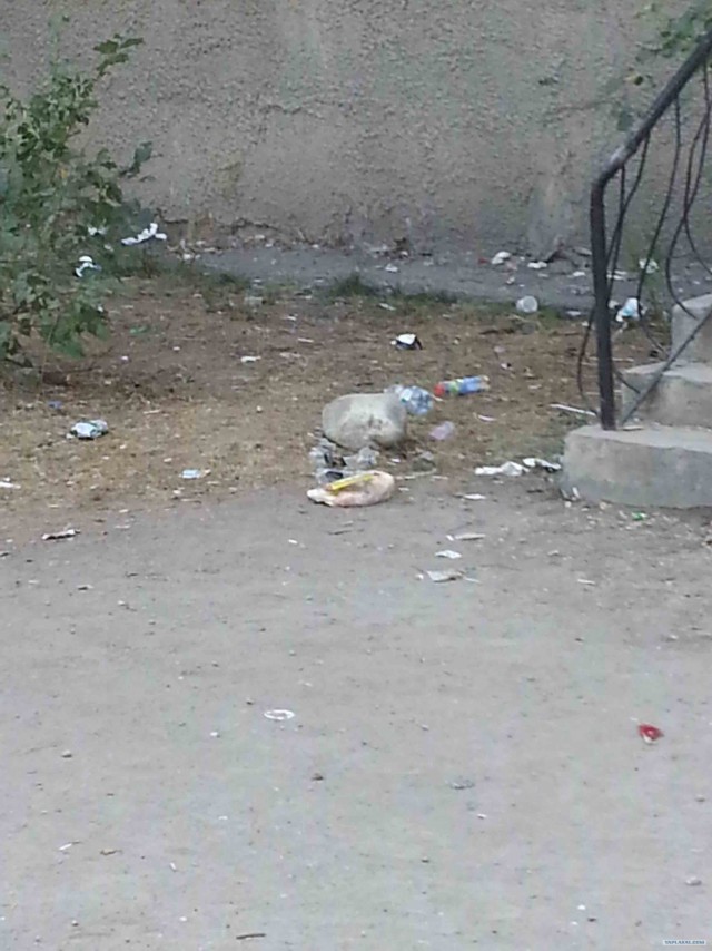 - Я хозяин, ЧЁ хАчу то и делаю.