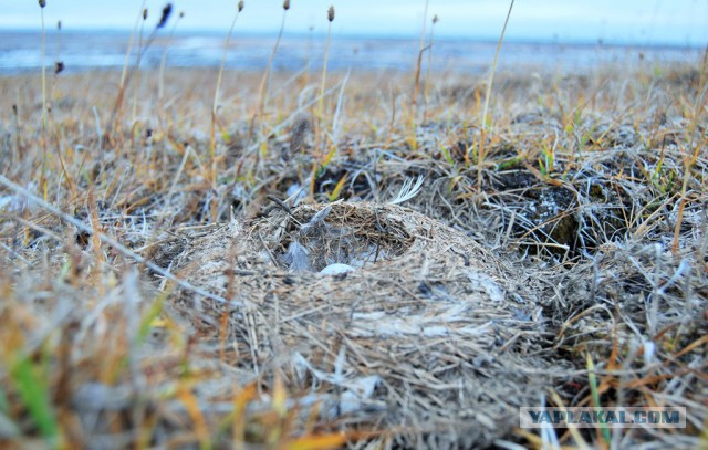 Красивая Россия