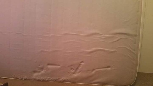 Картинки из ваших интернетов, 18+