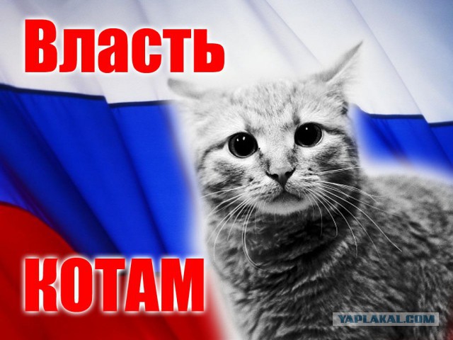 Когда терпение лопнуло