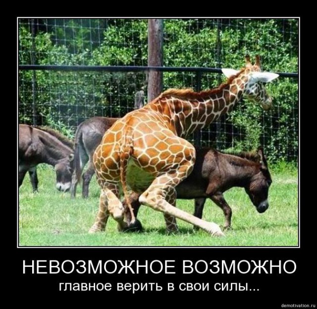 В любом деле главное - это вера в собственные силы