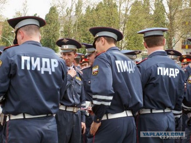 В Сочи задержали экипаж ДПС
