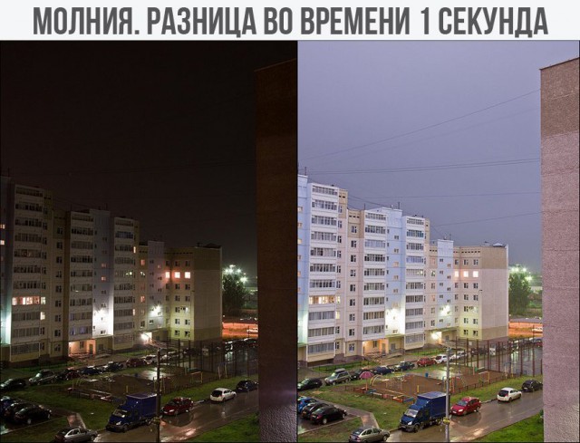 Подборка безудержного веселья
