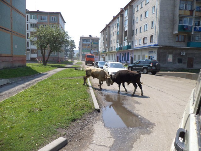 ВСТО