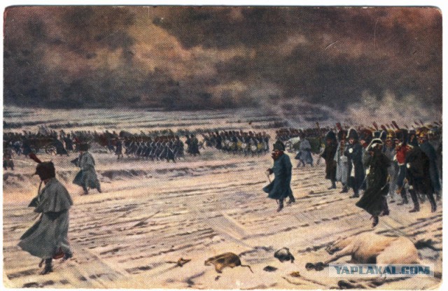Законы выживания.Осень 1812