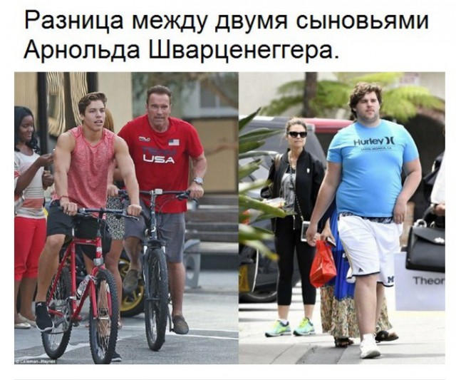Подборка интересных и веселых картинок