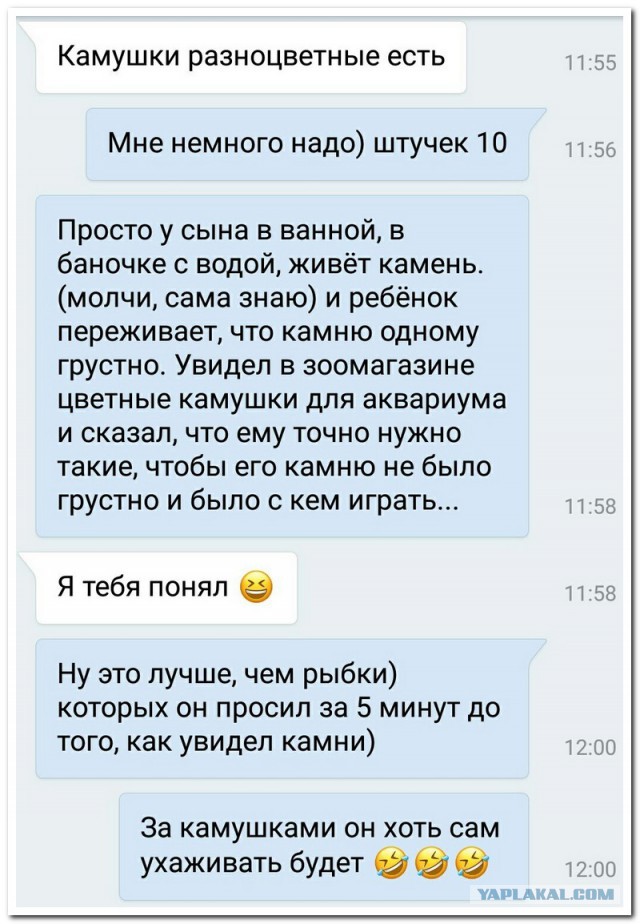 Смешные комментарии из социальных сетей 20.10.2017