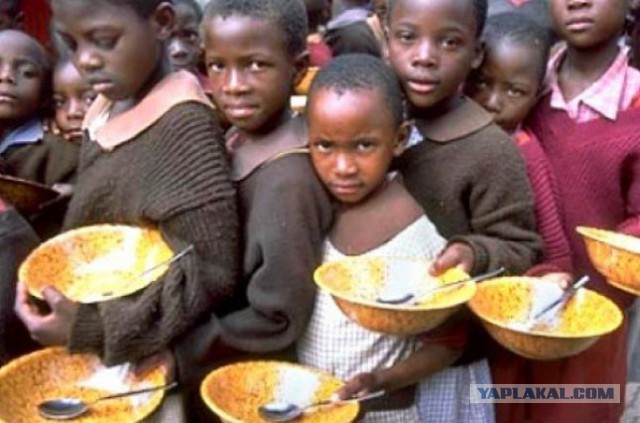 Дурак и бутылка: Короткое руководство, как просрать 30 000 британских фунтов.