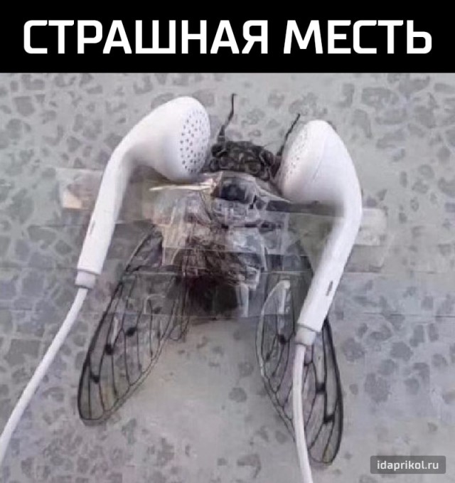 Нестандартный юмор