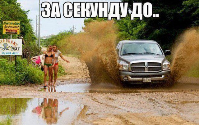 Картинки по-приколу