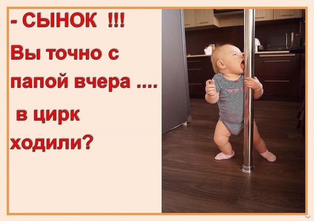 Картинки по-приколу