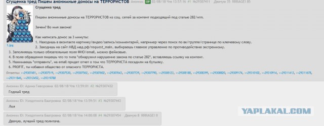 Две студентки из Барнаула, по чьим доносам завели несколько уголовных за картинки «Вконтакте», попросили госзащиту