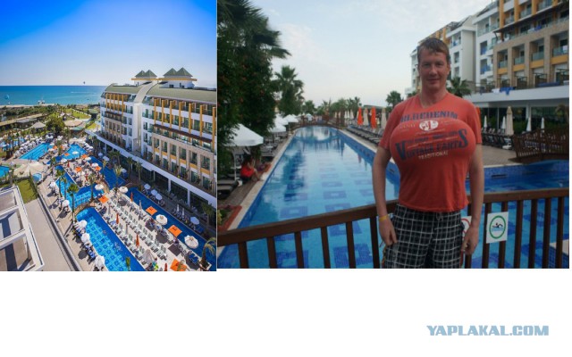 Скотсети и прочие интернеты 04.03.19