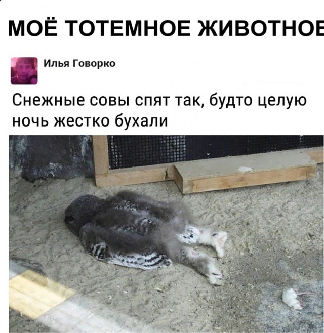 Нестандартный юмор