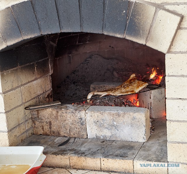 Стейк из хвостика на гриле (Пародия на пародию Пародии Апельсинии)