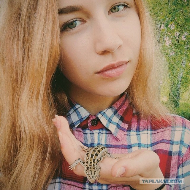 Вася Ложкин - всенародно любимый!