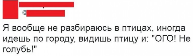 Прикольные комментарии и высказывания из Сети 07.09.19