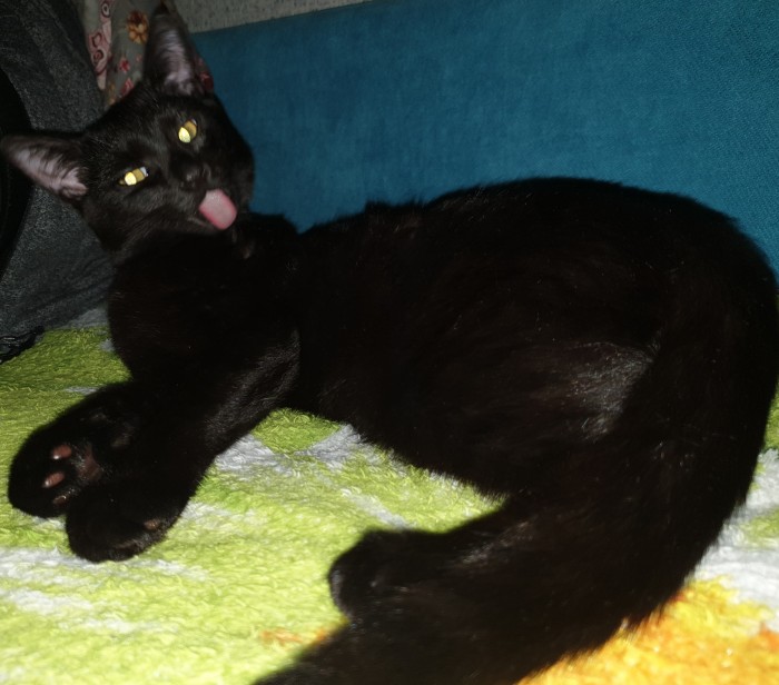 Paзнoвиднocти тьмы