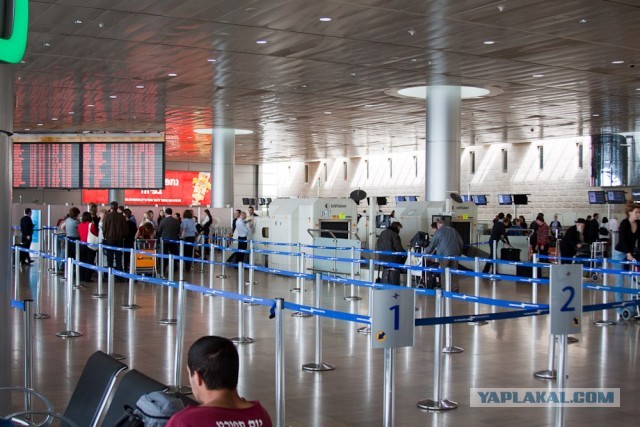 Опал, как озимый!