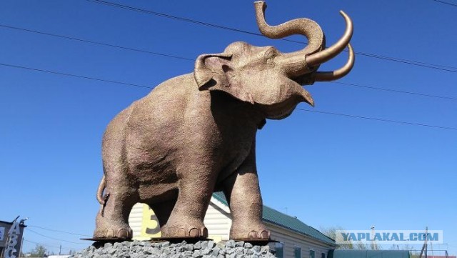 Нищебродки, не для вас мои ягодки росли!