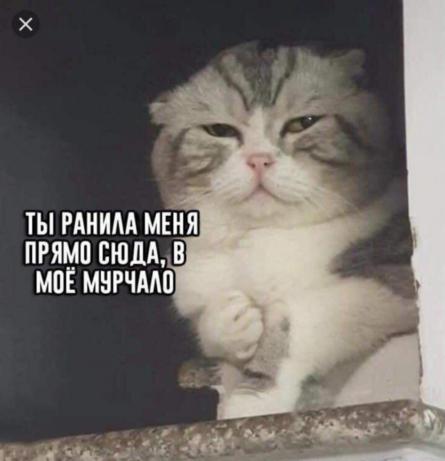 За что мужчины так ненавидят РСП - разведенных женщин с детьми?