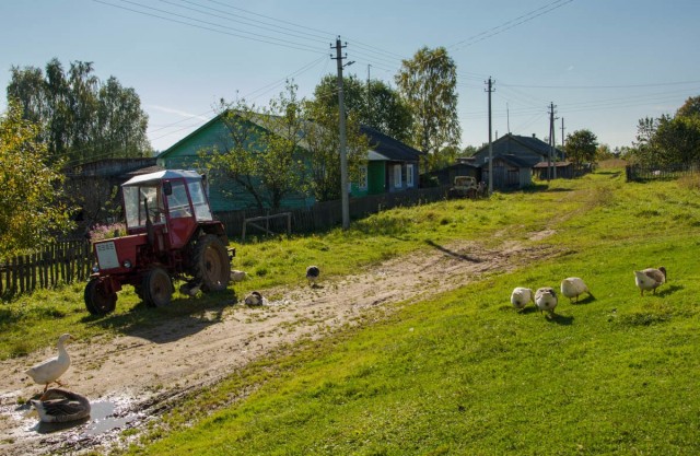 Красота и колорит русской деревни летом