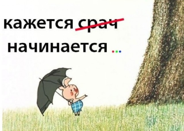 О жадных мужчинах. Или умных? (Немного мата)