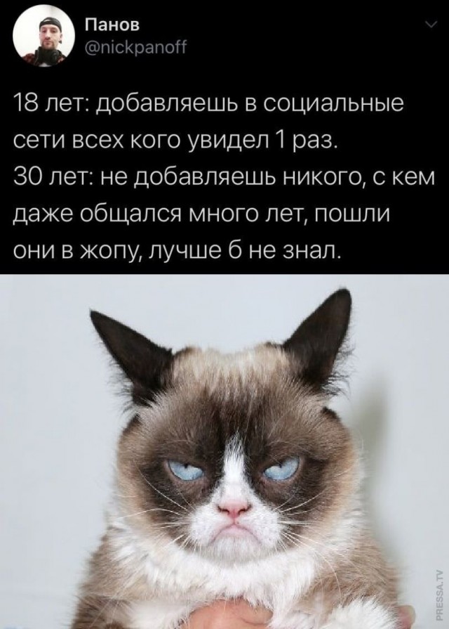 Картинки и мемы для настроения 022