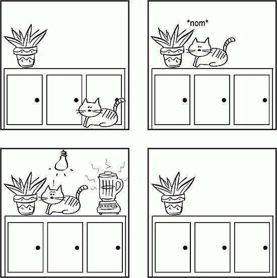 А ваш кот еще ворует хавчик со стола?