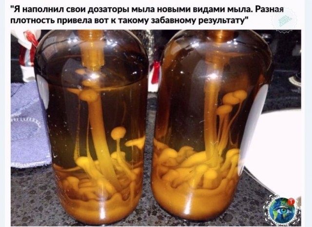 Картинки и мемы для настроения 23.02.21