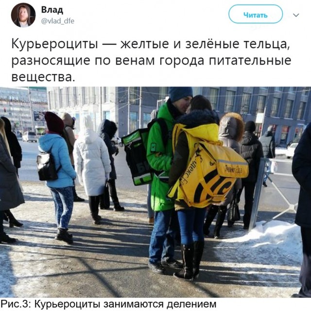 Картинки и мемы для настроения 015