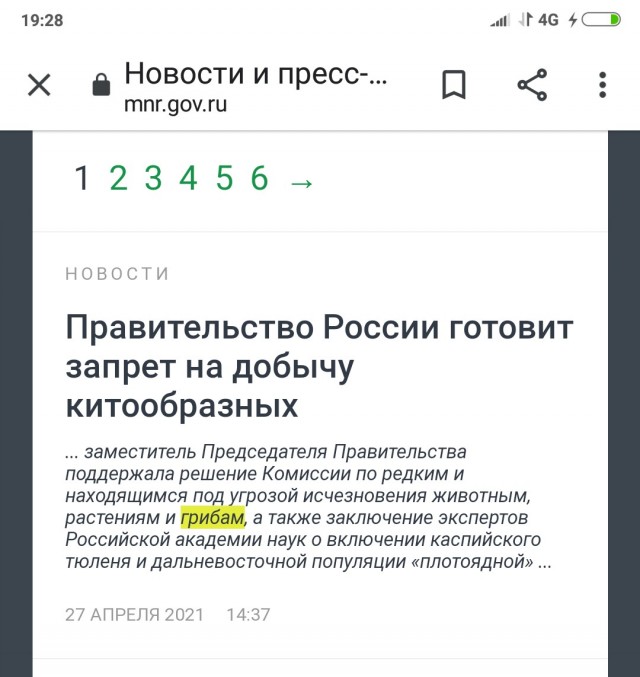 Ни дня без запретов