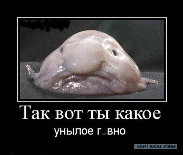 "Вы просто подставляете себя под эксперимент.."