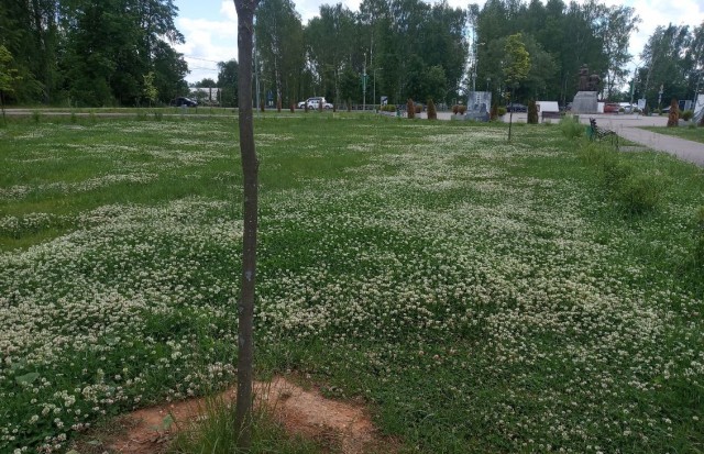 Начать новую жизнь в понедельник