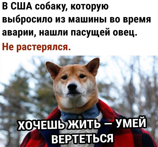 Так себе картинки 07.10.21