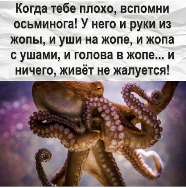 Картинки и мемы для настроения 01.11.2021