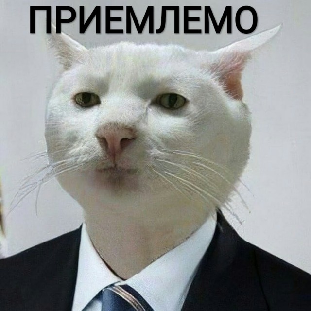 Мигранты собрались на штурм польской границы