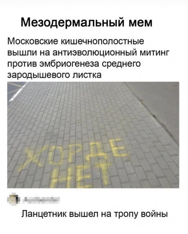 Немного картинок разной степени новизны и адекватности - 12