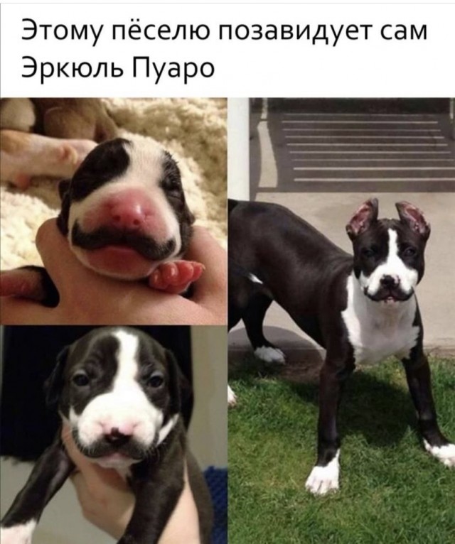 Так себе картинки 30.01.22