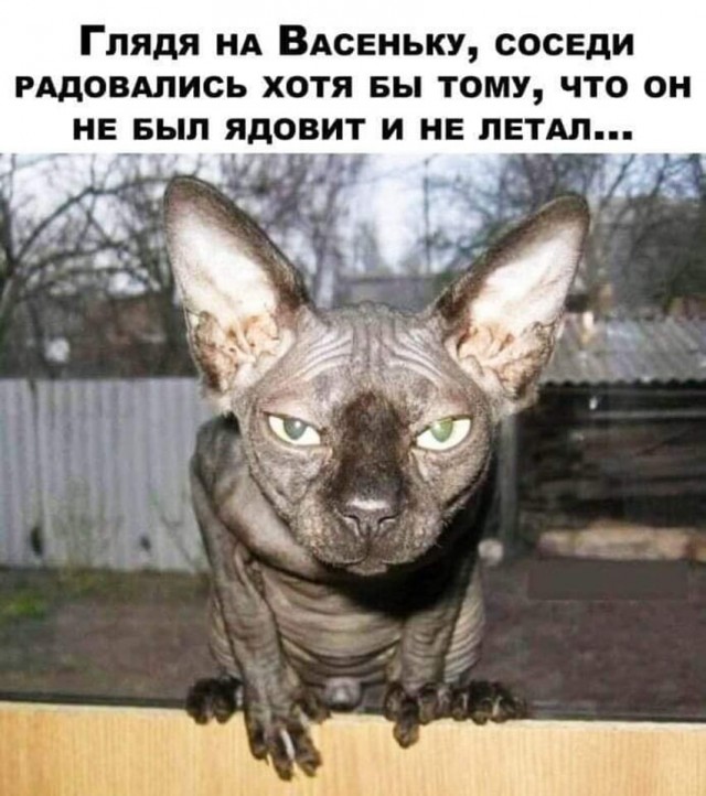 Так себе картинки 09.02.22