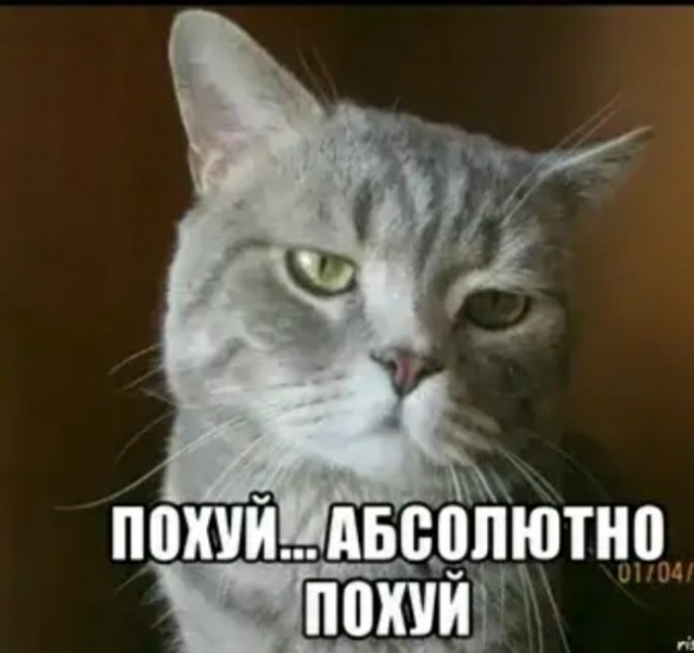 Наташа! Они нас на выставку не пускают!