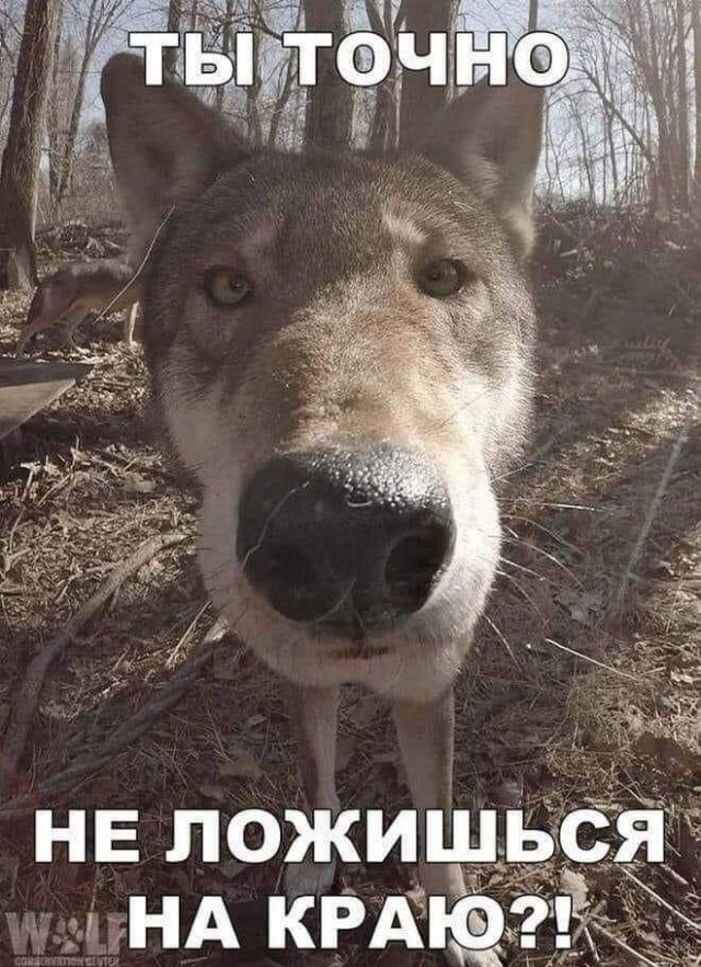 25 пикч для настроения
