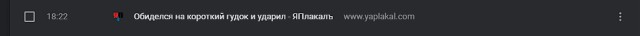 Обиделся на короткий гудок и ударил