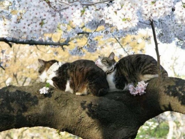 Подборка милых фото, для настроения