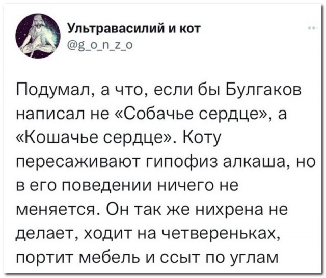 Забавные комментарии из социальных сетей (12.09.22)