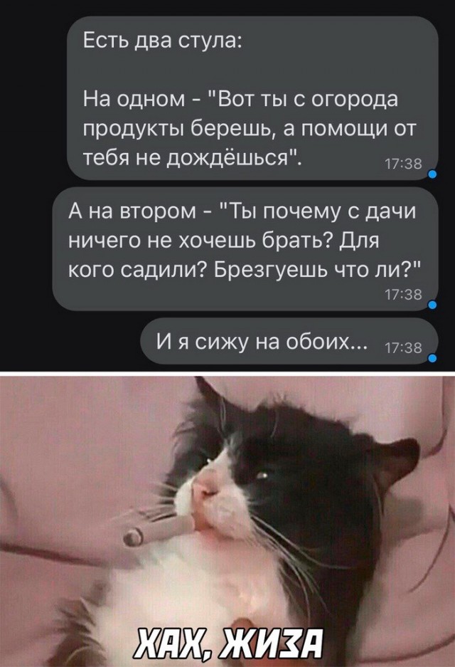 Скриншоты и комментарии из социальных сетей 16.09.22