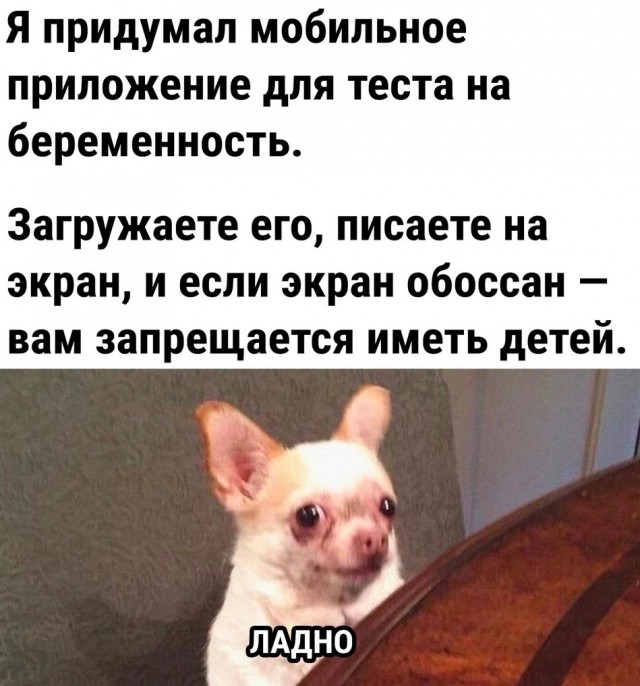 Нуштош 03.03.23